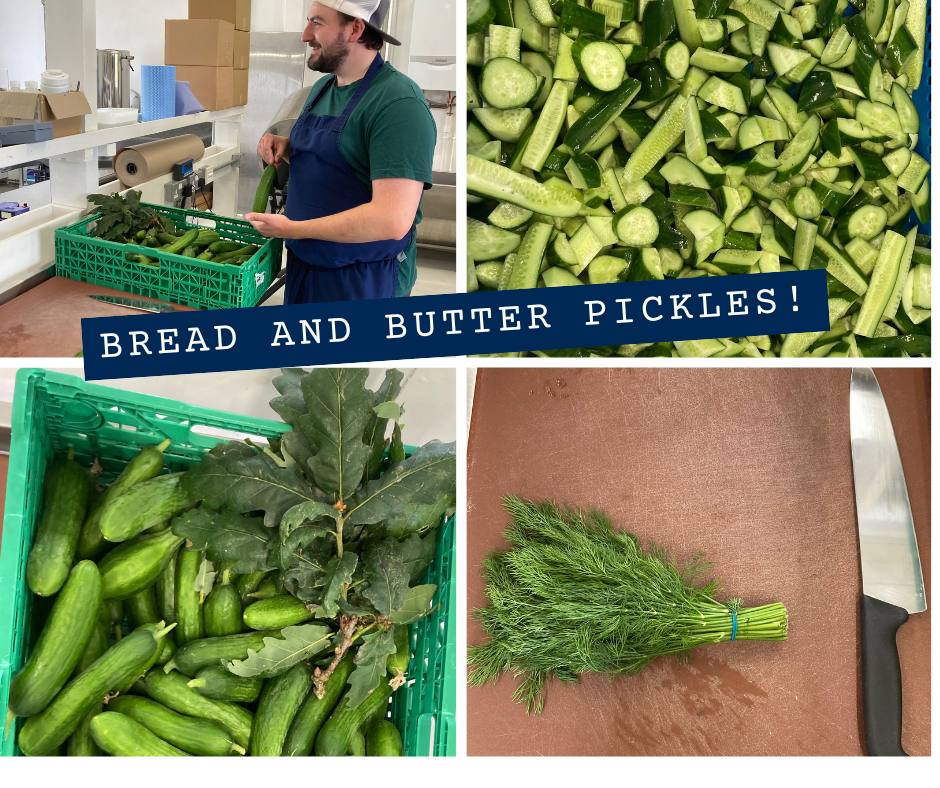 Bread and Butter Pickle Recipe